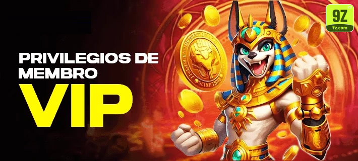 9z — módulo dedicado a promoções ativas, com composição limpa, pensado para sugerir próximo passo na jornada.